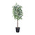  Vickerman 6' Artificial Variegated Ficus Tree 