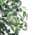  Vickerman 6' Artificial Variegated Ficus Tree 