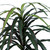  Vickerman Artificial Marginata Extra Full Series 
