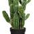  Vickerman Artificial Potted Cereus Cactus 