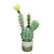  Vickerman Artificial Cactus in Pot 