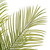  Vickerman 60 inch  Green Areca Palm Plant. This is an artificial plant in a black plastic pot. 