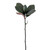  Vickerman 24 inch  Artificial Green Magnolia Spray with 6 Leaves. Includes four pieces per bag. 