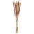  Vickerman 30 inch  Dried Natural Brown Reed Bunch. Approximately 20 stems. This is a natural product, dimensions and color may vary plant to plant. 