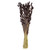  Vickerman 26 inch  Dried Brown Phalaris Bunch, 7 oz. This is a natural product, dimensions and color may vary plant to plant. 