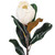  Vickerman 28 inch  Artificial White Magnolia Flower Leaves Spray 2/Bag. 