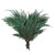  Vickerman Natural Botanicals 18-24 inch  Port Orford Cedar Branches - 16oz. Preserved cedar. 