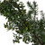  Vickerman Artificial Green Snow Cedar and Eucalyptus Garland 