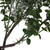 Vickerman Artificial Green Snow Cedar and Eucalyptus Garland 