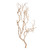  Vickerman Manzanita Tree Branch, Dried 
