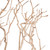  Vickerman Manzanita Tree Branch, Dried 