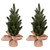  Vickerman Balsam Fir Sapling Artificial Christmas Tree 