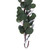  Vickerman Artificial Green Silver Dollar Populus Eucalyptus Collection 