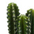  Vickerman Artificial Green Cactus Plant 