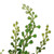  Vickerman Artificial Green Eucalyptus Bush Spray 