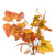  Vickerman Fall Orange Collection 