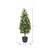  Vickerman Artificial Bay Tree 