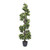  Vickerman Artificial Spiral Bay Tree 