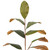  Vickerman Artificial Green Magnolia Leaf Collection 