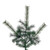 Vickerman Lodge Pole Pine Tree 