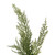  Vickerman Green Cedar Series 