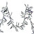  Vickerman 1000Lt LED Cluster Light Set 