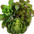 Vickerman 8 inch Artificial Succulent Arrangement