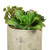 Vickerman 8 inch Artificial Succulent Arrangement