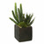 Vickerman 8 inch Artificial Green Succulent Arrangement, Pack of 2