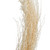 Vickerman Natural Botanicals 8 inch -12 inch Khejur Jhar, Bleached Includes 25 pieces per Pack
