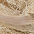Vickerman Natural Botanicals 8 inch -12 inch Khejur Jhar, Bleached Includes 25 pieces per Pack