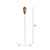 Vickerman Natural Botanicals 20 inch Mehogany Pods on Stem Includes 100 Stems per Pack