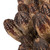 Vickerman Natural Botanicals 20 inch Mehogany Pods on Stem Includes 100 Stems per Pack