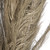 Vickerman Natural Botanicals 40 inch Khejur Sikha Includes 30 pieces per Pack