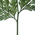 Vickerman 6-10 inch Fern Green Fern - Davalia, 6 stems, Preserved