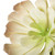 Vickerman 5.5 inch Artificial Succulent Pick, Set of 3