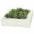 Vickerman 12 inch x12 inch Artificial Green Succulent Arrangement