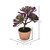 Vickerman 12 inch Artificial Purple and Green Succulent, Paper Pot