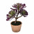 Vickerman 12 inch Artificial Purple and Green Succulent, Paper Pot