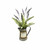 Vickerman Vickerman 16 inch Artificial Green Fern in Rustic Tin