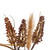 Vickerman Artificial 20 inch Brown Ivory Corn Wreath Features brown grass accents and a circular grapevine base