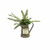 Vickerman Vickerman 12 inch Artificial Green Fern in Rustic Tin
