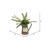 Vickerman Vickerman 12 inch Artificial Green Fern in Rustic Tin