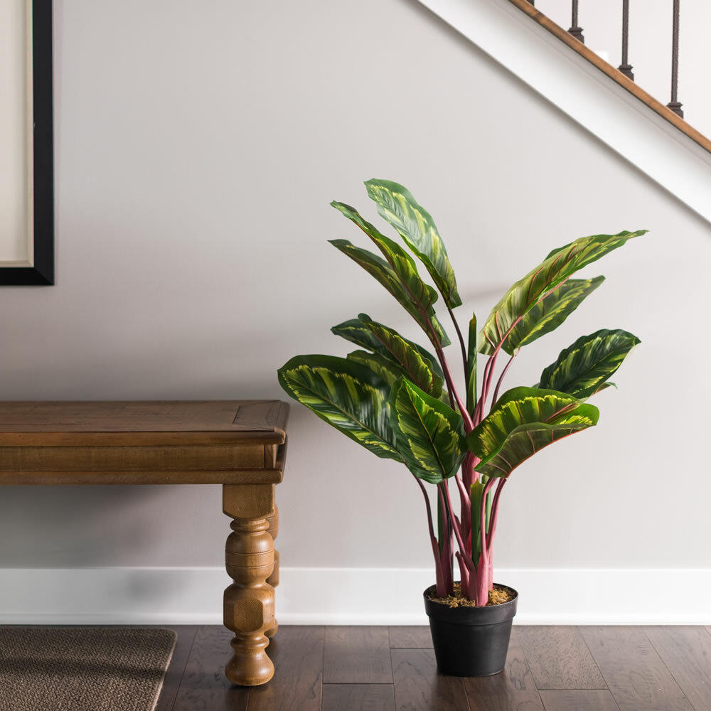 Vickerman 3' Artificial Green and Brown Peacock Plant, botanical name  Calathea.