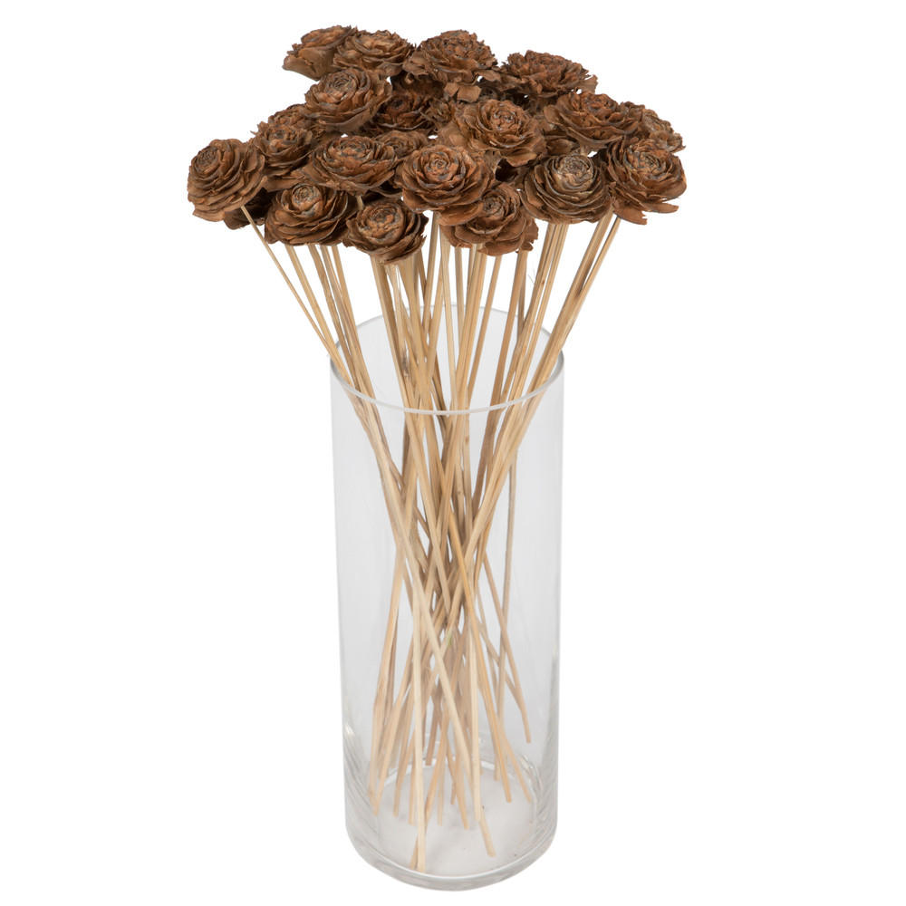 Vickerman Preserved Cedar Rose Stems