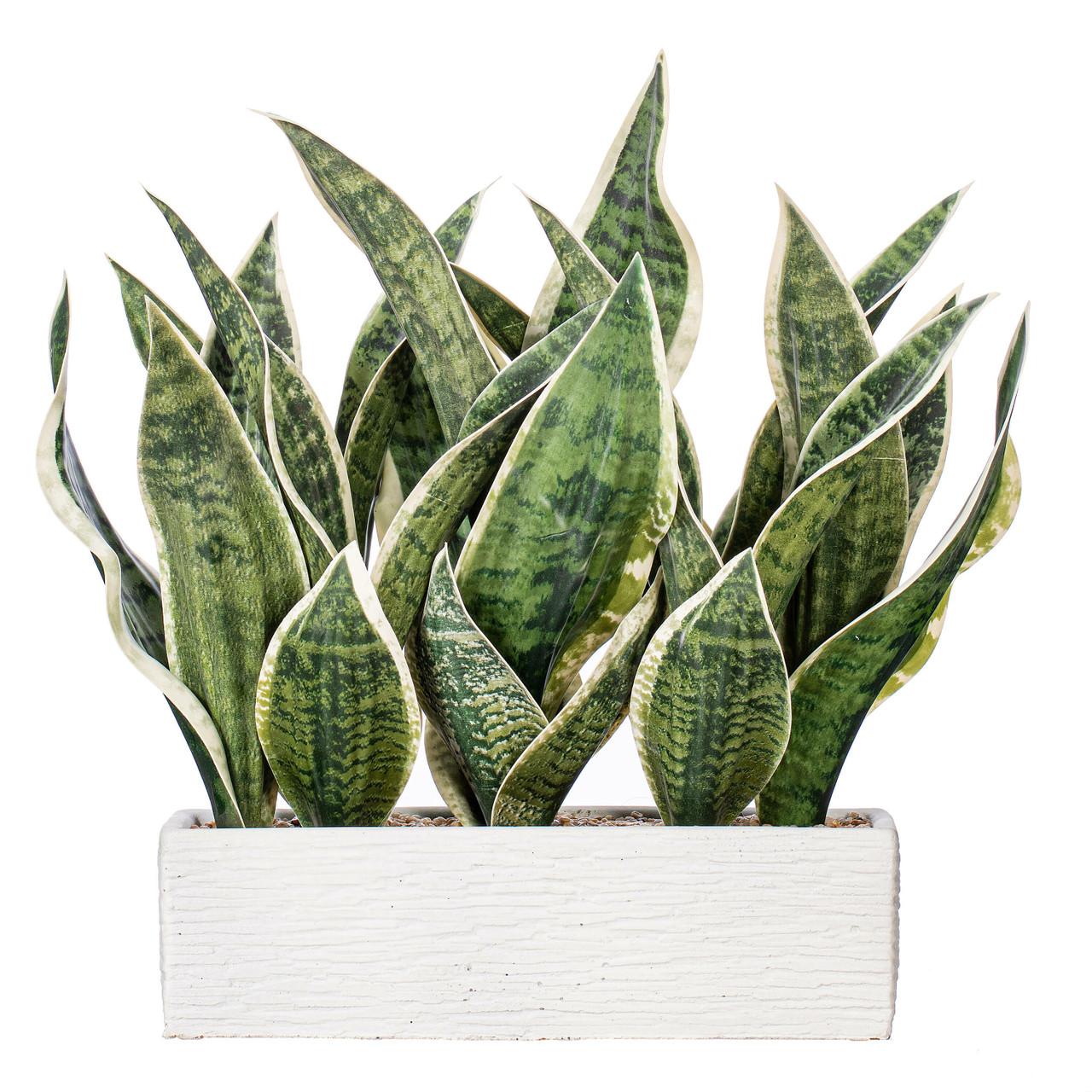 Vickerman 15" Artificial Light Green Snake Plant in 12 x 4.1 x 3.6" White  Rectangular Cement Pot.