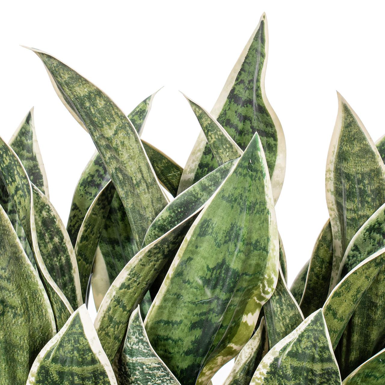 Vickerman 15" Artificial Light Green Snake Plant in 12 x 4.1 x 3.6" White  Rectangular Cement Pot.