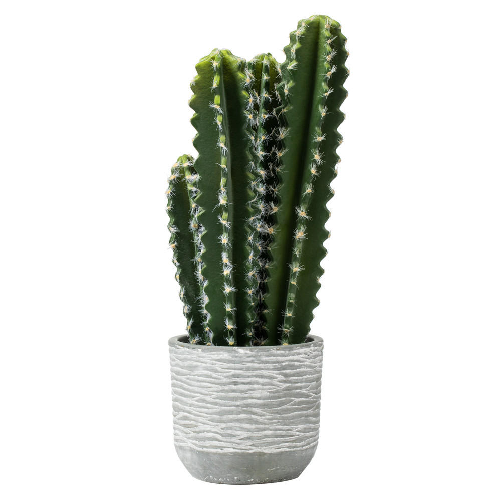 cactus lu online shop Cacti Garden | Succulent Gifting | Lula's Garden | Everyday Gifts