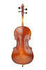 1/8 Solid European Spruce Beginner Cello – Flamed Veneered Back