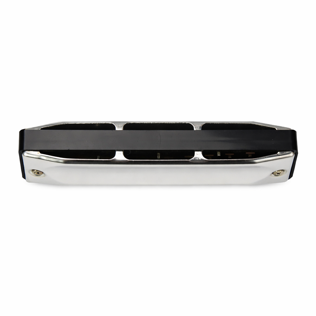 Easttop T002 10 Hole Diatonic Harmonica – Blues Harmonica with Stainless Steel Cover and Case